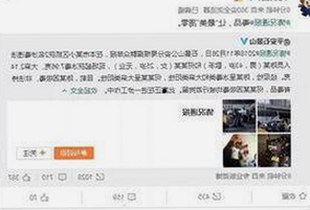 关于17c在线观看安装包下载的最新动态与安全指南