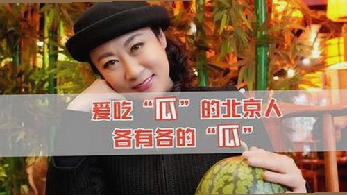 探索茄子视频官方版下载的多样选择与内容资源