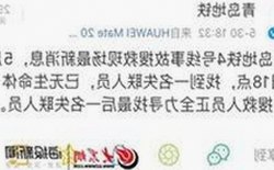 樱花视频最新版下载：畅享高清内容的最佳选择