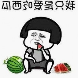 最新分析：永久mt660与免费版的现状与发展趋势