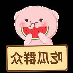 大象回家永不迷路视频2023最新版：最新内容全解析
