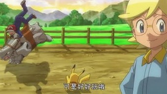从变化到稳定：永久mt660与免费版的现状与未来对比