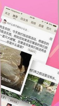 黄色91官方免费版：探索合规的娱乐体验与最新资源