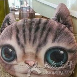 外网le拉子炒菜教程网站视频百度绿色版：学习新技能的热门选择