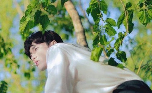 探索中国影视新体验：91禁🍆🍑🔞❌❌❌看片在线观看官方版下载