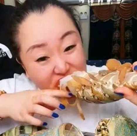 日批视频官方版正版下载：了解最新影视资源平台