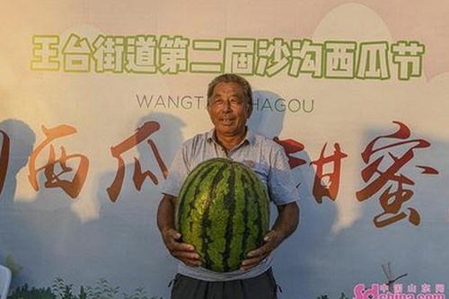 探索18❌❌❌有直套免费版下载的最新动态与资源获取