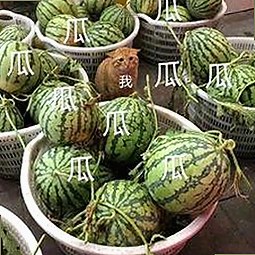 最新动态：www91官方版带你畅享丰富资源