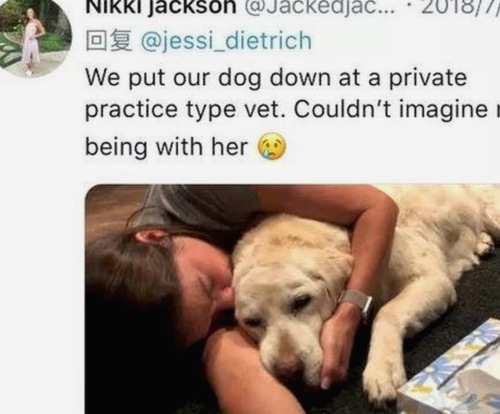 樱桃视频最新版下载：畅享高清内容的新体验