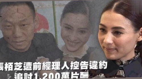 《TIMI1INFO天美传媒在线观看》免费高清在线播放全集：最新观看体验解析