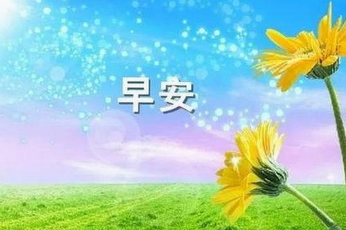 探究 www91与免费版：更优选择背后的故事