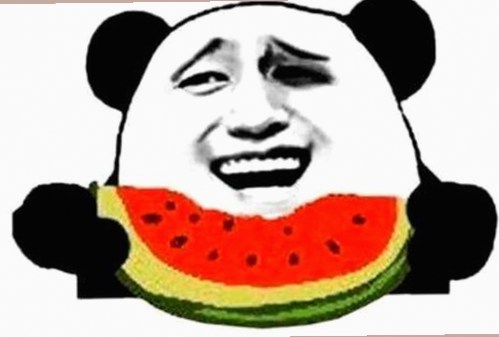 最新动态：看片最新版下载带来便捷体验