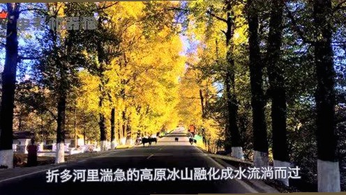 探索“91🍆🍑🔞❌❌❌一起草wwwcom17安装包下载”的现象背后