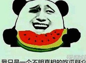 漳州市用户热议：9+1视频免费官方版带来全新观看体验