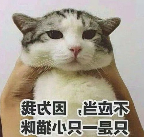 红桃影院免费观看电视剧电视剧高清最新版下载：最新资源全面升级