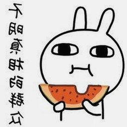 白山市用户必看：如何轻松获取免费91最新版下载攻略