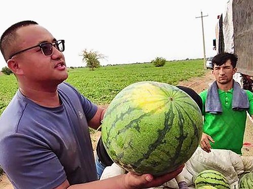 成都市用户热议：禁漫天堂下载官方版下载免费版的最新动态