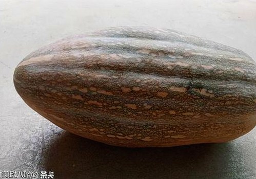 探索禁漫天堂下载与免费版：海口市用户的新选择