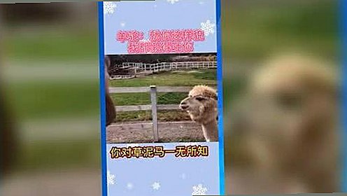 探索三亚市居民使用红桃视频官方版免费版的体验变化
