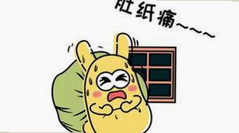 91香蕉官方版下载：可靠的应用选择指南