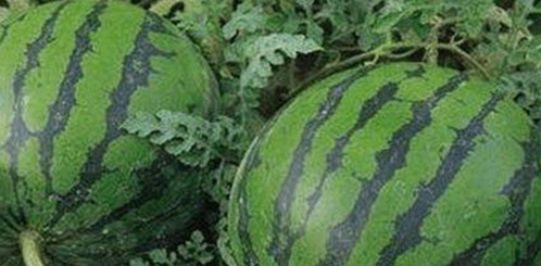 最新免费调色60分钟视频官方版下载，轻松掌握色彩调色技巧