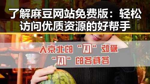 了解麻豆网站免费版：轻松访问优质资源的好帮手