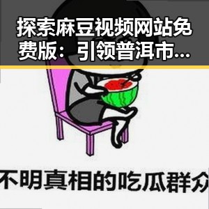 探索麻豆视频网站免费版：引领普洱市新潮流