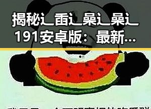 揭秘辶臿辶喿辶喿辶191安卓版：最新动态与用户体验回顾