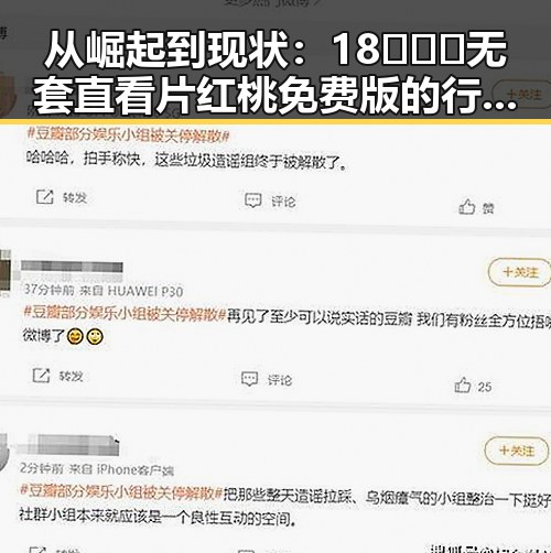 从崛起到现状：18❌❌❌无套直看片红桃免费版的行业变迁