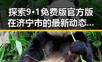 探索9·1免费版官方版在济宁市的最新动态与应用情况