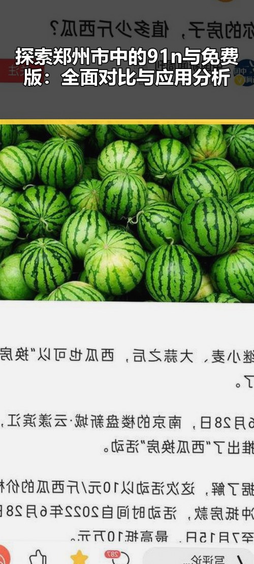 探索郑州市中的91n与免费版：全面对比与应用分析