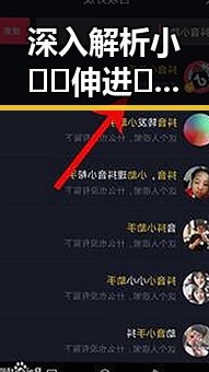 深入解析小🐔🐔伸进🈲18网站官方版正版下载的现状与发展