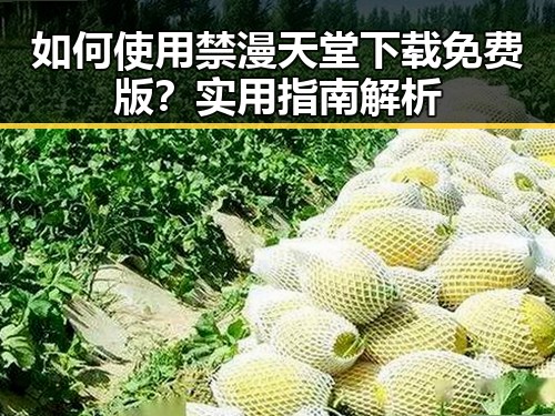 如何使用禁漫天堂下载免费版?实用指南解析