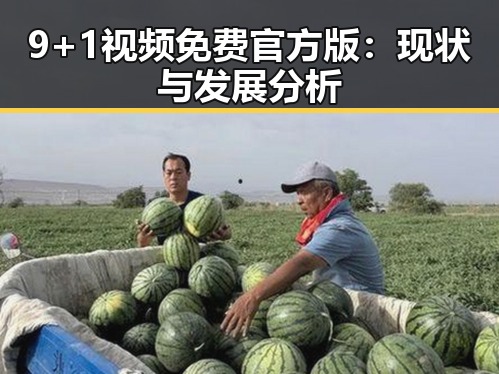 9+1视频免费官方版：现状与发展分析