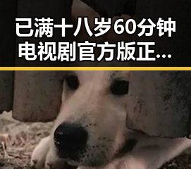 已满十八岁60分钟电视剧官方版正版下载:最完整的资源指南