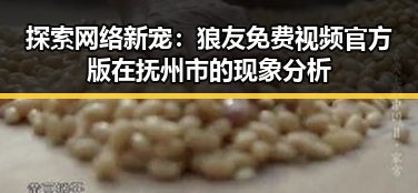 探索网络新宠:狼友免费视频官方版在抚州市的现象分析