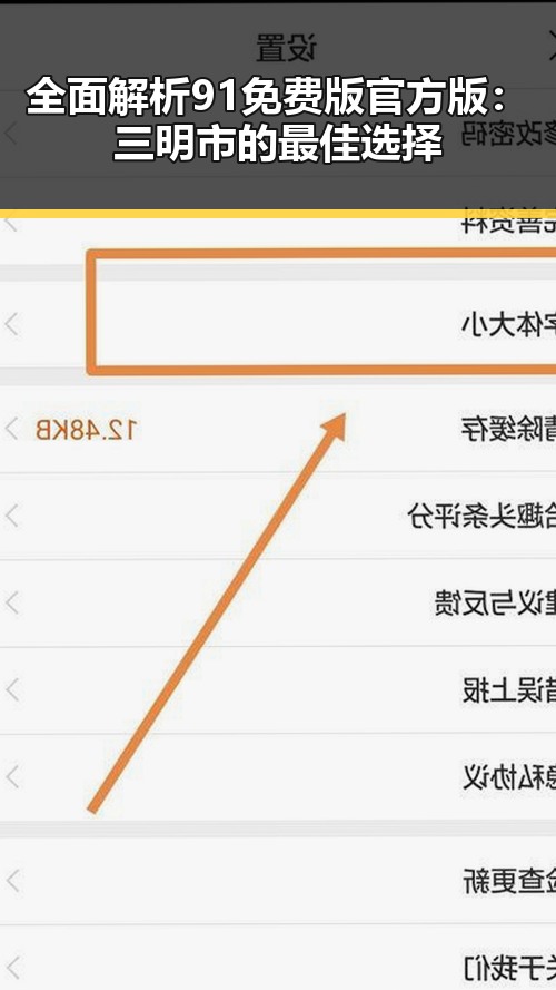 全面解析91免费版官方版：三明市的最佳选择