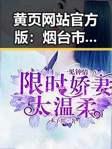黄页网站官方版：烟台市本地企业与服务指南
