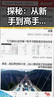 探秘：从新手到高手——91香蕉官方版在宿迁市的崛起之路