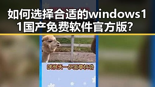 如何选择合适的windows11国产免费软件官方版？