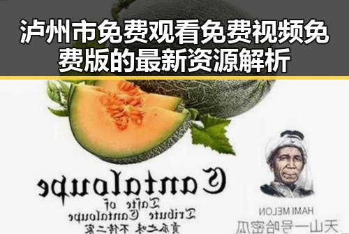 泸州市免费观看免费视频免费版的最新资源解析