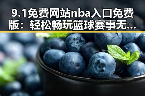 9.1免费网站nba入口免费版:轻松畅玩篮球赛事无障碍