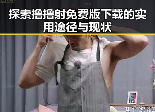 探索撸撸射免费版下载的实用途径与现状