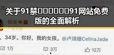 关于91禁🍆🍑🔞❌❌❌91网站免费版的全面解析