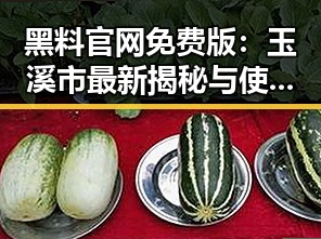 黑料 官网免费版：玉溪市最新揭秘与使用指南