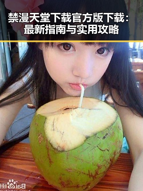 禁漫天堂下载官方版下载：最新指南与实用攻略