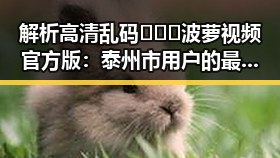 解析高清乱码🔞❌♋波萝视频官方版：泰州市用户的最新体验