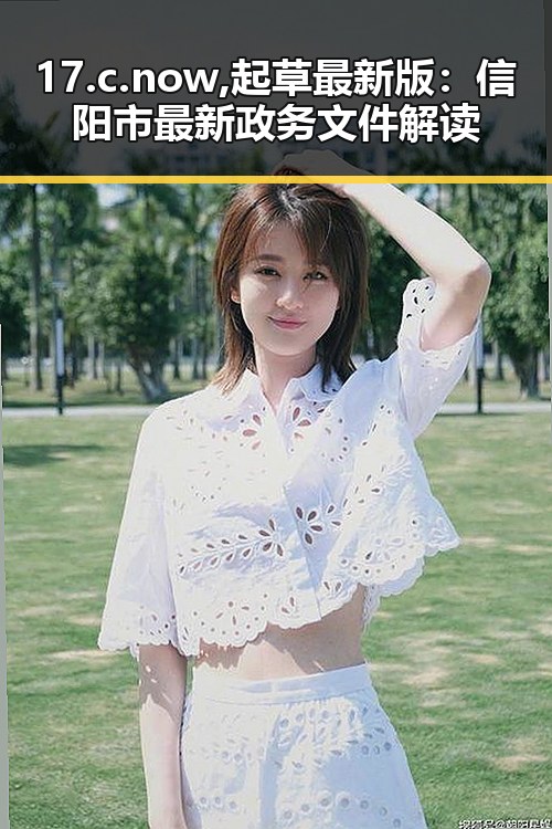 17.c.now,起草最新版：信阳市最新政务文件解读