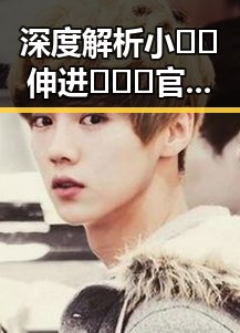 深度解析小🐔🐔伸进🈲🔞🔞官方版：现状与背后趋势