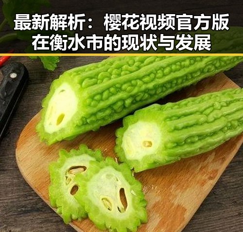 最新解析:樱花视频官方版在衡水市的现状与发展